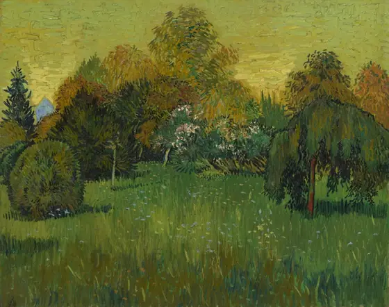 Lush tall grasses with small white flowers foreground a grove of bushy trees of varying types and heights, their leaves ranging from deep green to golden.