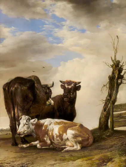 A tired-looking brown and white cow lies down on a patch of dry earth, a dark-brown bull and cow standing behind her against an overcast sky.