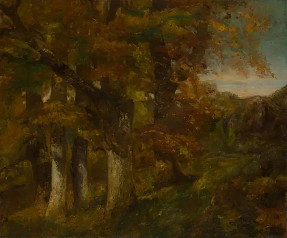 Wooded Landscape, Gustave Courbet, 1860–65, oil on canvas