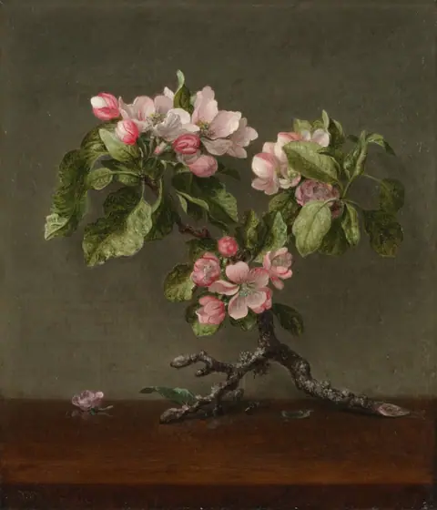Apple Blossoms, Martin Johnson Heade, 1873, oil on canvas