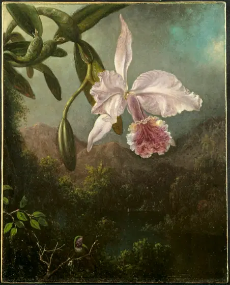 Orchid Blossoms, Martin Johnson Heade, 1873, oil on canvas