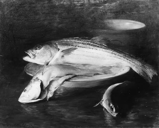 Fish, William Merritt Chase, by 1910, oil on canvas