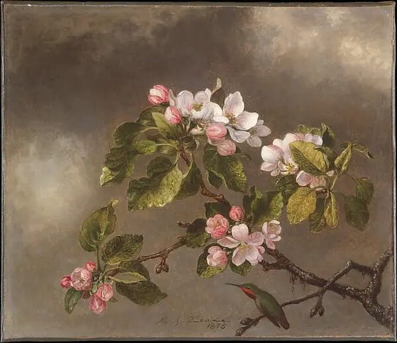 Hummingbird and Apple Blossoms, Martin Johnson Heade, 1875, oil on canvas