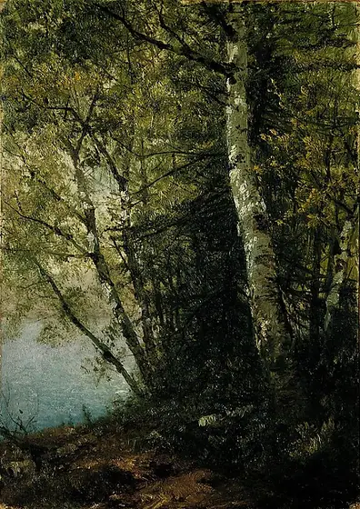 Study of Beeches, John Frederick Kensett, 1872, oil on canvas