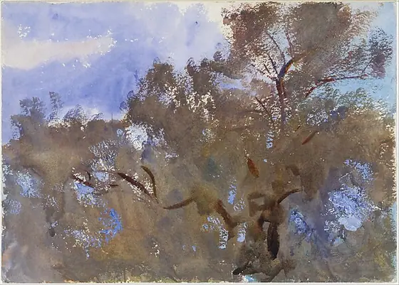 Treetops against Sky, John Singer Sargent, 1909–13, watercolor and gouache on white wove paper