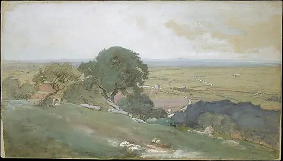 Olive Trees at Tivoli, George Inness, 1873, gouache, watercolor, and graphite on blue wove paper with colored fibers