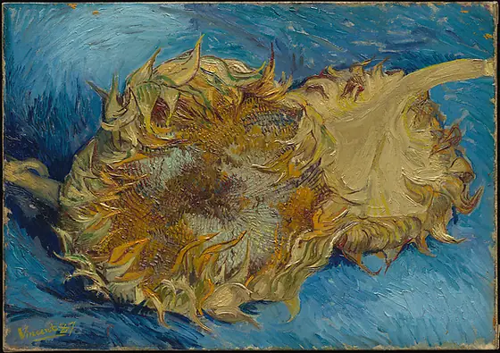 Sunflowers, Vincent van Gogh, 1887, oil on canvas