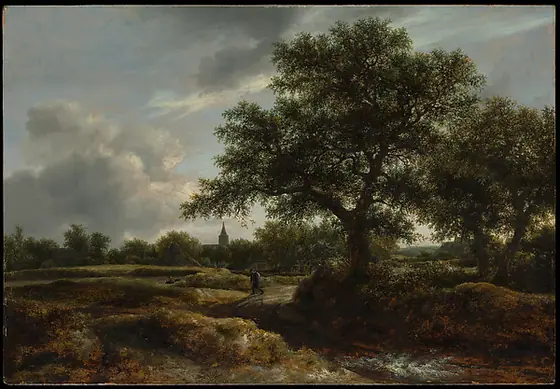 Landscape with a Village in the Distance, Jacob van Ruisdael, 1646, oil on wood