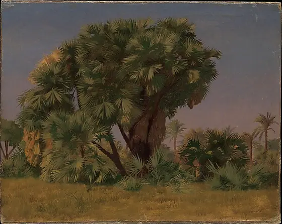 Study of Palm Trees, Jean-Léon Gérôme, 1855/56, oil on canvas, laid down on board