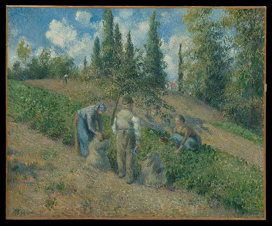 The Harvest, Pontoise (La Récolte, Pontoise), Camille Pissarro, 1881, oil on canvas