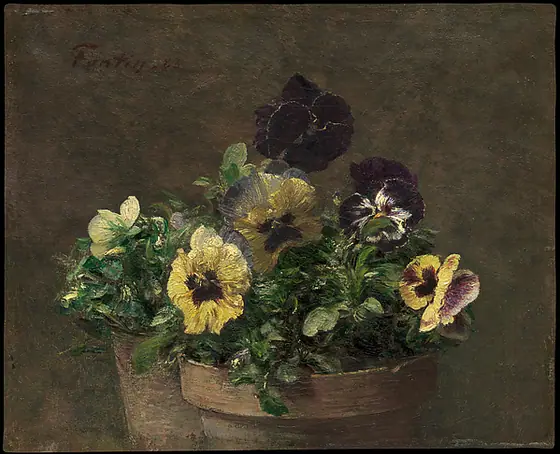 Potted Pansies, Henri Fantin-Latour, 1883, oil on canvas
