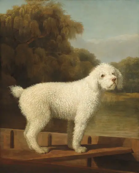 A dog with short, curly, white hair stands in a wooden boat facing our right almost in profile, though it turns its head to look at us in this vertical portrait painting. The dog spans nearly the width of the canvas and is close to us.