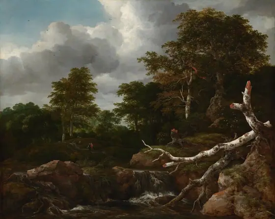 A broken white and gray birch tree trunk has fallen across a rocky, shallow waterfall at the edge of a dense, deeply shadowed forest in this horizontal landscape painting.