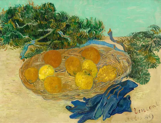 Nine oranges and lemons sit in a shallow basket with dark green, spiky branches behind and a pair of cobalt-blue gloves in front in this horizontal still life painting.