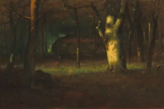 A shaft of warm light from our left pierces a dark wood filled with tall trees in this horizontal landscape painting. The light falls on a stout white trunk and a portion of the moss-green forest floor near the center of the composition.