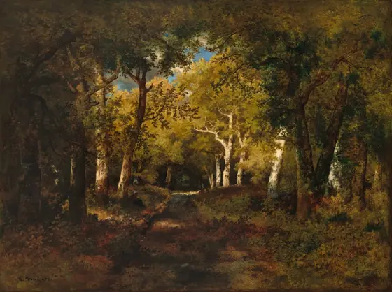 A path enclosed almost entirely with trees stretches into a dense, sun-dappled forest before us in this horizontal landscape painting.