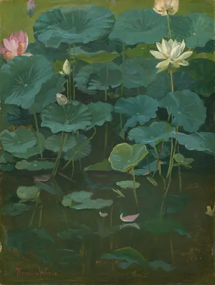 This painting depicts a collection of large green lily pads and blooming lotus flowers. The flowers are primarily white and pink, resting on the ends of long stems.