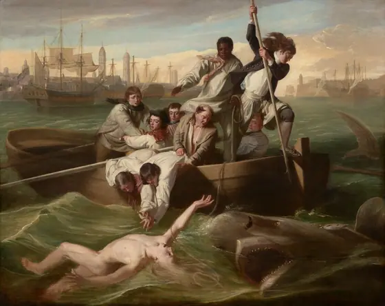 We look onto the side of a rowboat crowded with nine men trying to save a pale, nude young man who flails in the water in front of us as a shark approaches, mouth agape, from our right in this horizontal painting.