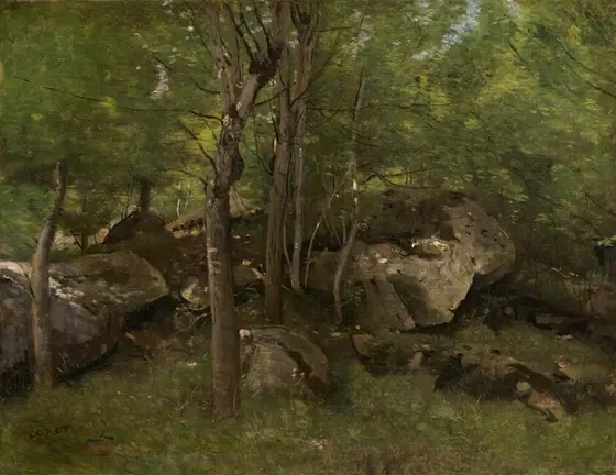 Dense green vegetation surrounds a band of sun-dappled boulders that arc shallowly across this horizontal landscape painting. Just to our left of center and on our side of the boulders are several slender tree trunks.