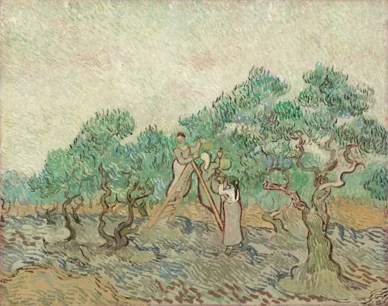 Three women stand on or next to a ladder picking olives in an orchard in this horizontal landscape painting. The women, trees, ground, and sky are all painted with long, parallel brushstrokes that curve and swirl over the canvas.