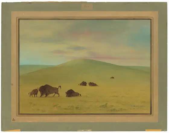 American Pasturage - Prairies of the Platte, George Catlin, 1861/1869, oil on card mounted on paperboard
