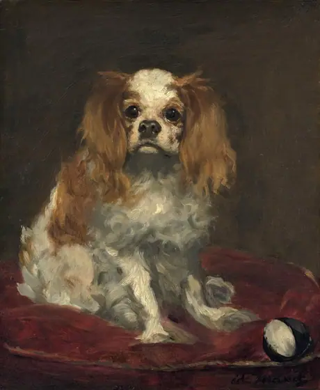 A long-haired, small white dog with tawny-brown ears and spots sits on a garnet-red cushion in this loosely painted vertical portrait. The dog looks just to our left with large, round, black eyes under perked eyebrows.