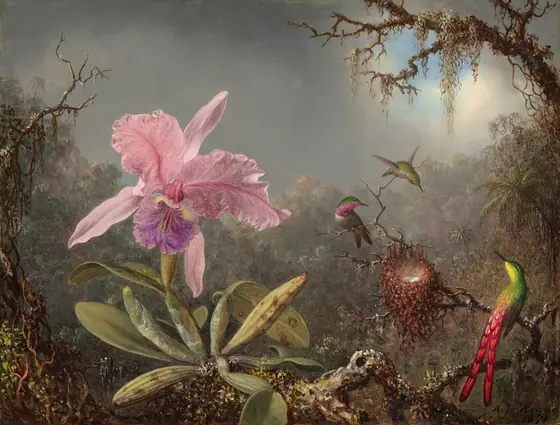 Against a distant, hazy, verdant forest, a petal-pink and amethyst-purple orchid grows from a mossy branch close to us, to our left, while three jewel-toned hummingbirds gather around a nest to our right in this horizontal painting.