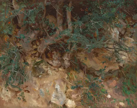 Gnarled, ash-brown roots woven through a muddy, rocky bank and sprays of dark green leaves fill this loosely painted, horizontal landscape. Touches of spring green in the lower right corner suggest ground cover.