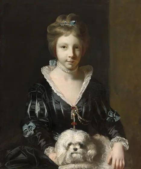 This painting depicts the upper half of a seated young woman who is facing forward. She has fair skin, pale eyebrows, gray eyes, and thin lips in a neutral expression. The right side of her face is partially in shadow.