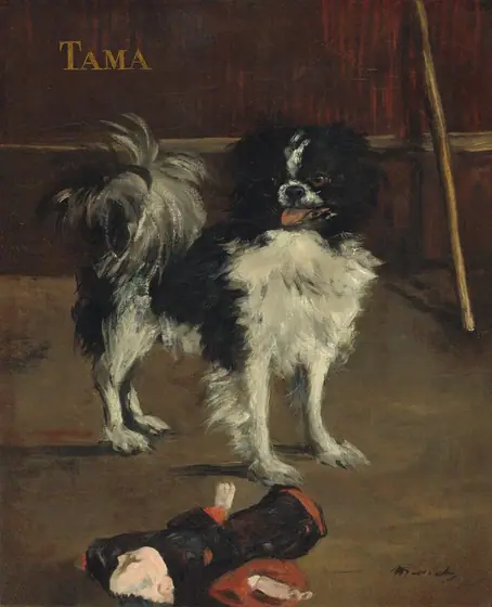 A small, shaggy, black and white dog stands in a wood paneled room with its body angled to our right but turning its head, pink tongue out, to our left in this vertical painting.