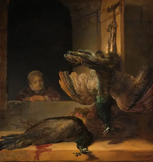 Still Life with Peacocks, Rembrandt van Rijn, c. 1639, oil on canvas