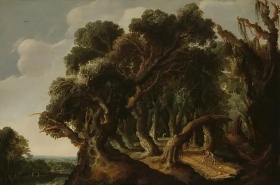 Wooded Landscape, Jacob Jacobsz van Geel, c. 1633, oil on panel