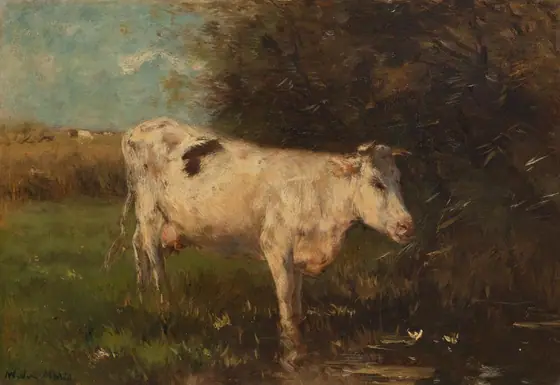 White Cow, Willem Maris, c. 1880 - c. 1910, oil on panel