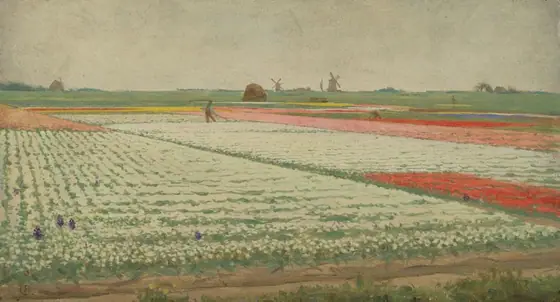 Tulip Fields, Gerrit Willem Dijsselhof, 1890 - 1922, oil on panel