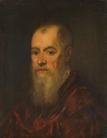 Portrait of a Man with a Red Cloak, Jacopo Tintoretto, 1555 - 1580, oil on canvas