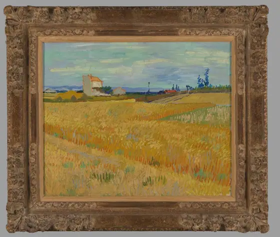 Wheatfield, Vincent van Gogh, 1888