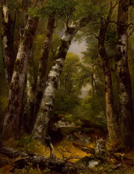 Woodland Glen, Asher Brown Durand, ca. 1850-1855, oil on canvas